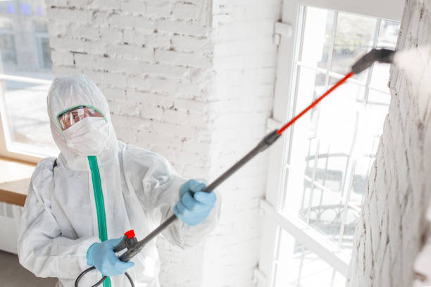 Best Industrial Mold Remediation  in Leisure Village East, NJ