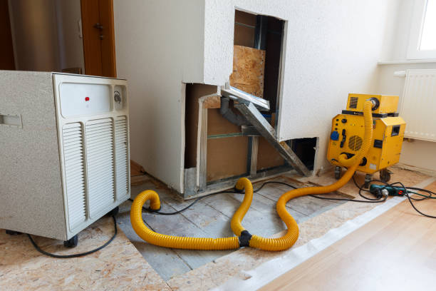 Best Dehumidification Services  in Leisure Village East, NJ